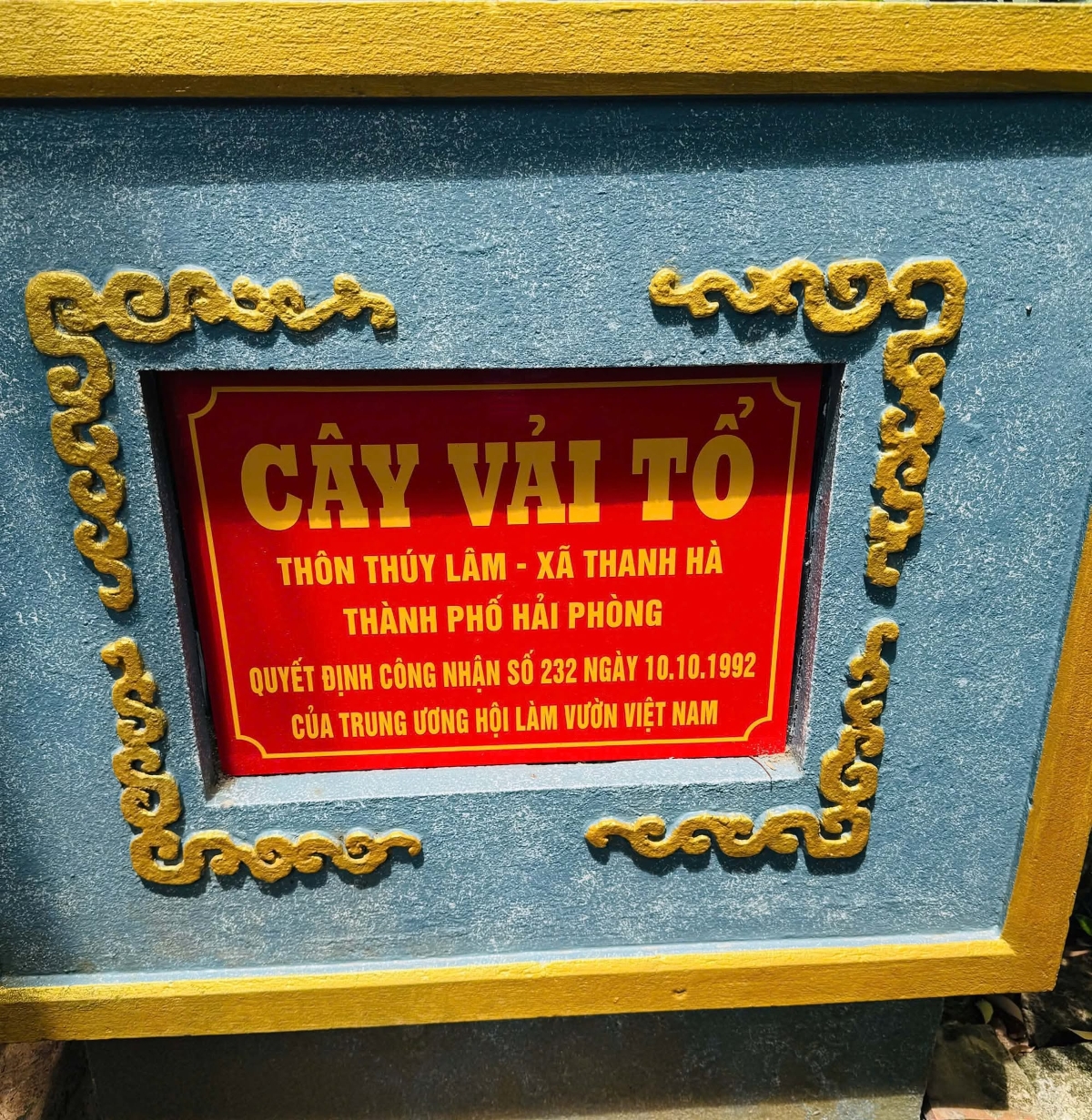 VnEconomy