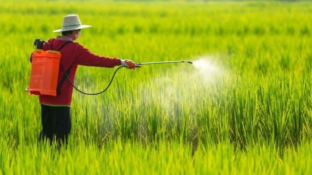 Cần hơn 11 năm để đưa một hoạt chất bảo vệ thực vật mới ra thị trường