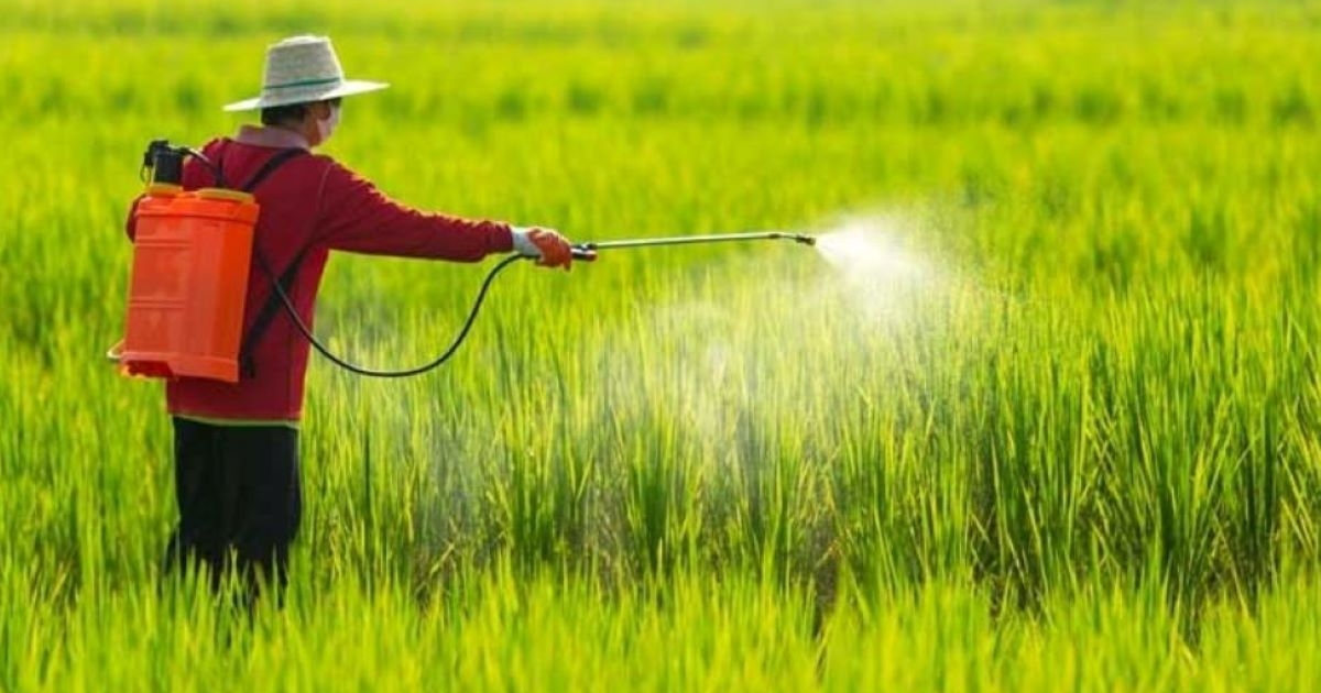 Cần hơn 11 năm để đưa một hoạt chất bảo vệ thực vật mới ra thị trường