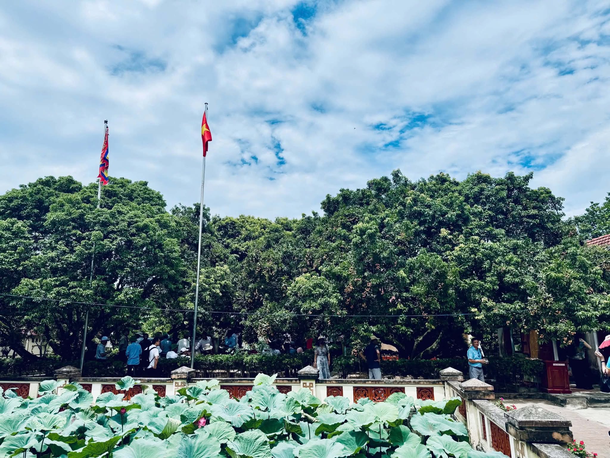 Du khách sẽ được tự tay hái những chùm quả tươi ngon nhất và thưởng thức vị ngọt lịm tan ngay đầu lưỡi giữa không gian mát lành của vườn tược.