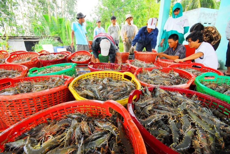 Some 778 Vietnamese seafood enterprises licensed to export to Taiwan (China)