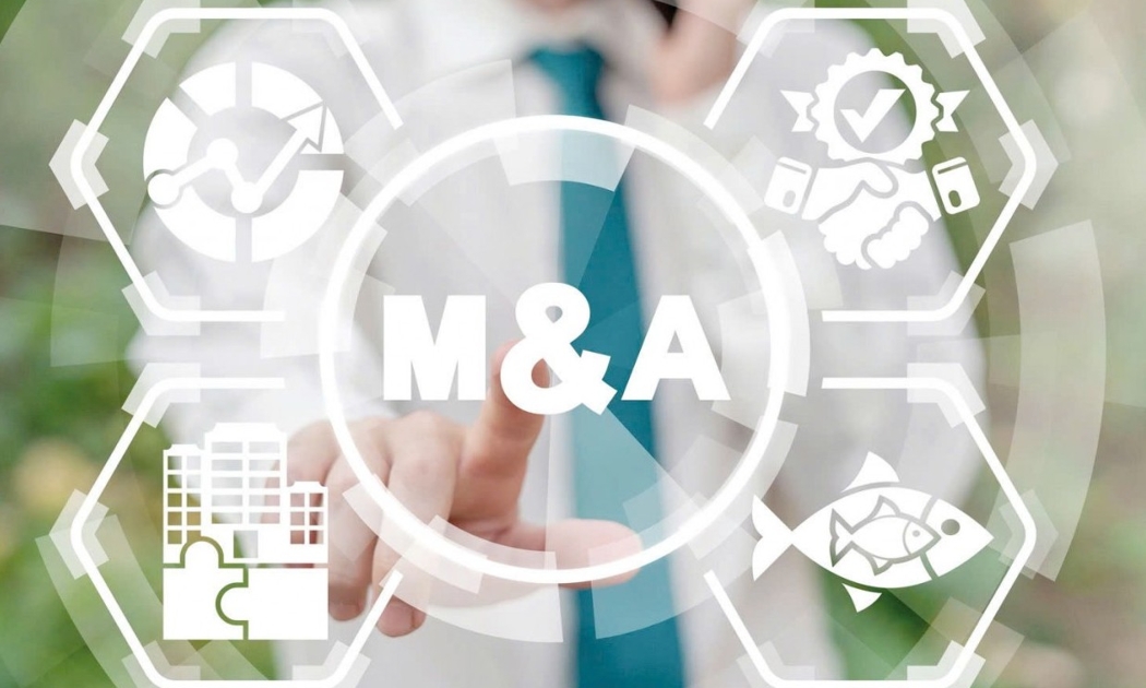 Quản trị doanh nghiệp trở thành lợi thế cạnh tranh trong thu hút vốn M&A