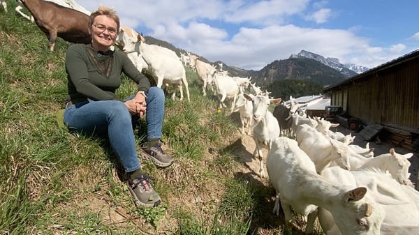 “Vùng đất của những người nông dân hạnh phúc”: Vì sao đồng cỏ ở Áo luôn xanh hơn?