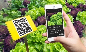 Truy xuất nguồn gốc đang trở thành công cụ giúp doanh nghiệp kể câu chuyện về sản phẩm, tạo dựng niềm tin và nâng cao giá trị hàng hóa. Ảnh minh họa