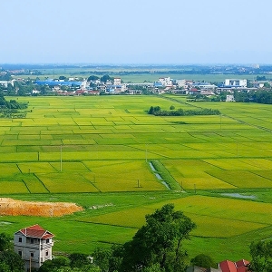 Ảnh minh họa.