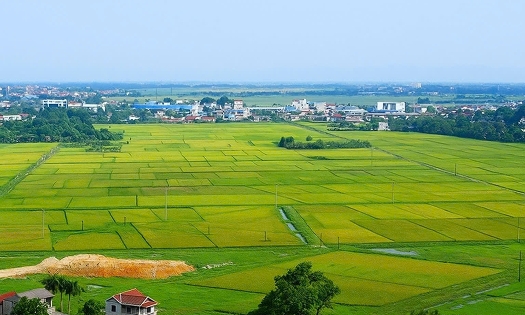 Ảnh minh họa.