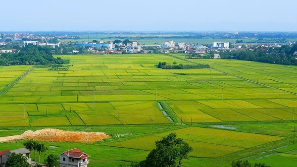 Hơn 64,42 triệu thửa đất đã được xây dựng dữ liệu, đạt 63% kế hoạch