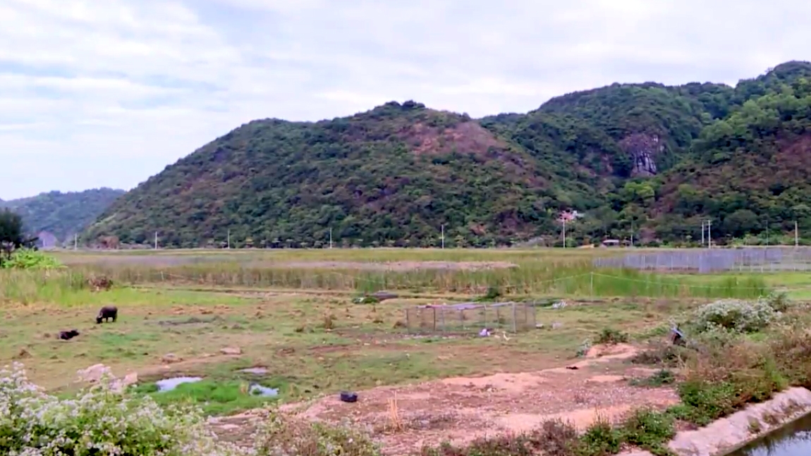 Dự án khu đô thị du lịch dịch vụ khoáng nóng và sân golf quốc tế Xuân Đám dự kiến đóng góp hơn 8.959 tỷ đồng tiền sử dụng đất.