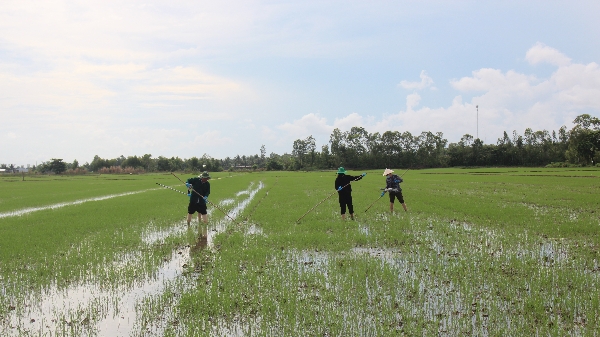 Nâng cao an toàn lao động cho nông dân trên đồng ruộng