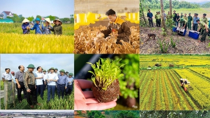Agriculture and environment sector boosts administrative procedure simplification