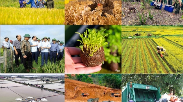 Agriculture and environment sector boosts administrative procedure simplification
