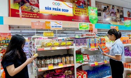 Kết nối hàng Việt vào kênh phân phối hiện đại, thúc đẩy sức mua nội địa
