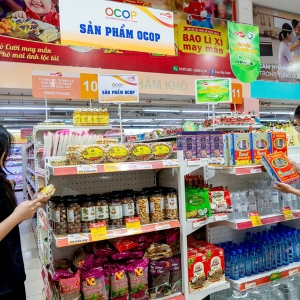 Hệ thống bán lẻ hiện đại được kỳ vọng góp phần thúc đẩy sức mua và mở rộng đầu ra cho hàng Việt.