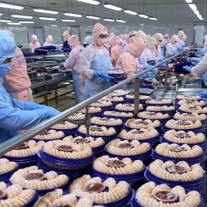Doanh nghiệp thủy sản đang đối mặt với nhiều áp lực. Ảnh minh họa.