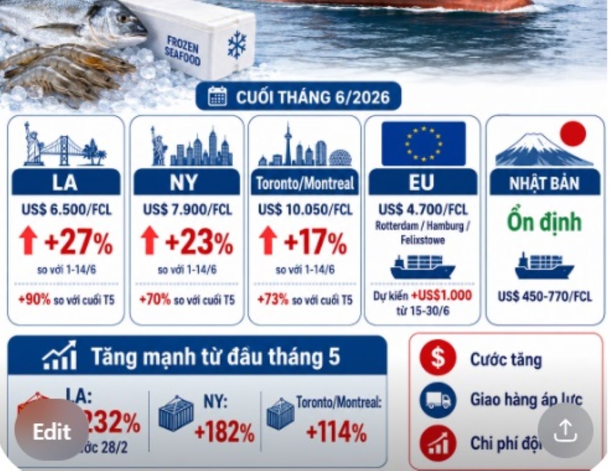 Cước vận tải biển tháng 6/2026. Nguồn VASEP.