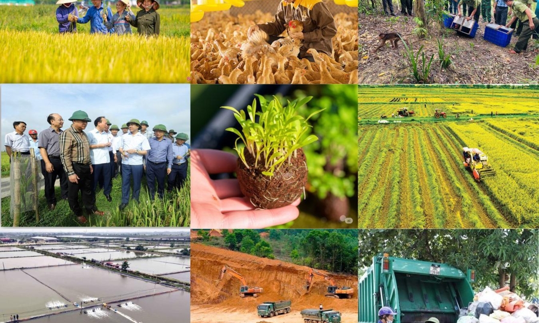 Cải cách thủ tục nông nghiệp và môi trường, khơi thông nguồn lực phát triển