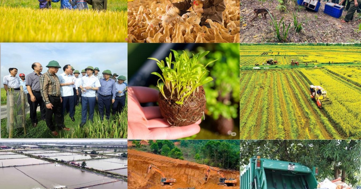 Cải cách thủ tục nông nghiệp và môi trường, khơi thông nguồn lực phát triển