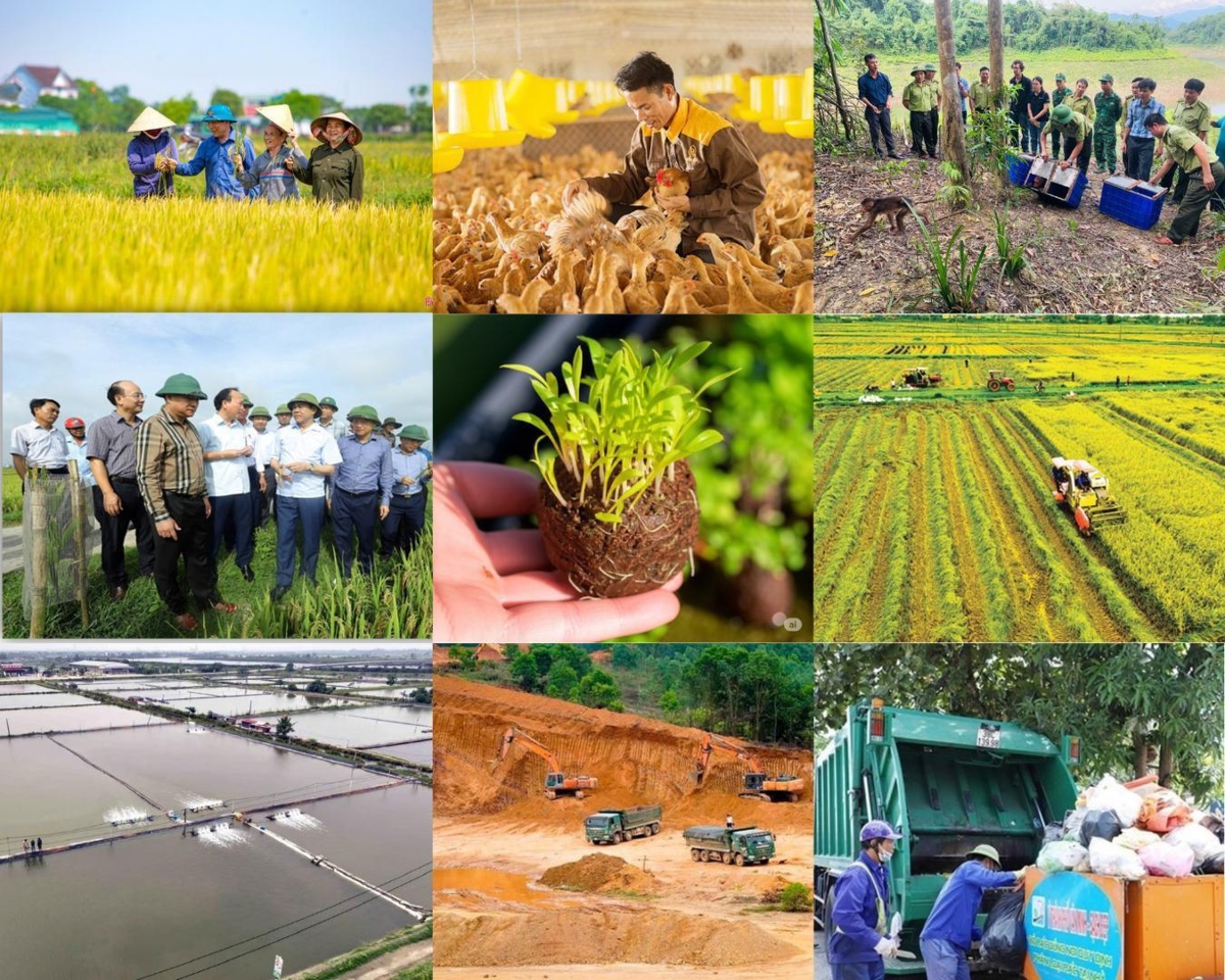 Bộ Nông nghiệp và Môi trường đã cắt giảm, đơn giản hóa nhiều thủ tục hành chính, đồng thời đẩy mạnh phân cấp, phân quyền cho địa phương. Ảnh minh họa