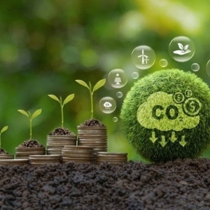 Thị trường tín chỉ carbon bắt đầu bước vào một giai đoạn chuyển mình đầy hứa hẹn với sự ra đời của những liên minh. Ảnh minh họa