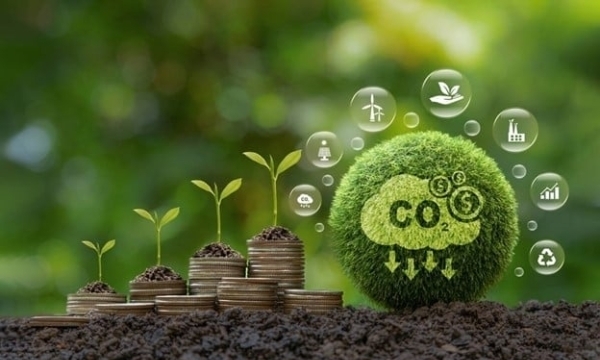 Thị trường carbon chuyển mình nhờ cú hích liên minh các