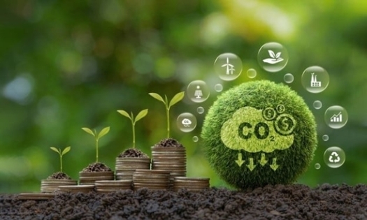 Thị trường tín chỉ carbon bắt đầu bước vào một giai đoạn chuyển mình đầy hứa hẹn với sự ra đời của những liên minh. Ảnh minh họa