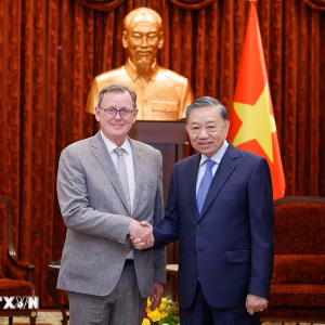 Tổng Bí thư, Chủ tịch nước Tô Lâm tiếp Phó Chủ tịch Quốc hội Cộng hòa Liên bang Đức - Ảnh: TTXVN