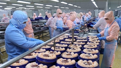Rising global shipping costs put pressure on Vietnam’s seafood exporters