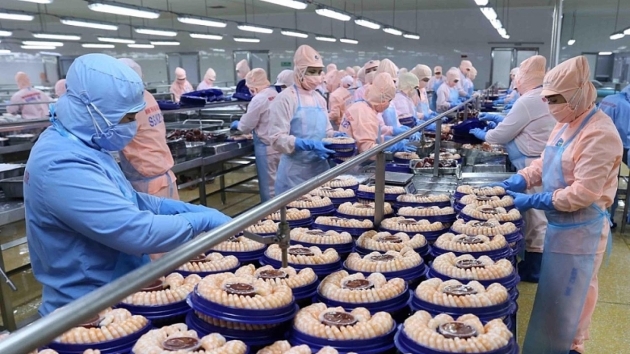 Rising global shipping costs put pressure on Vietnam’s seafood exporters