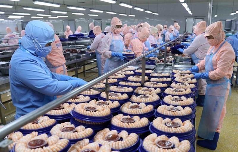 Rising global shipping costs put pressure on Vietnam’s seafood exporters