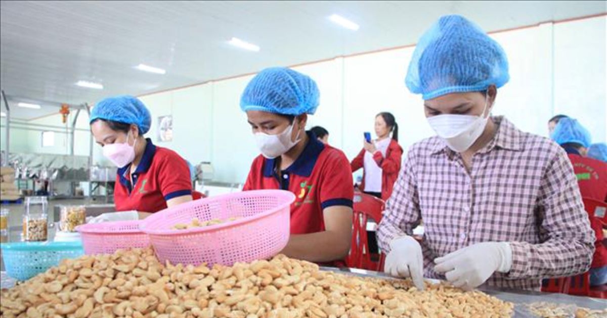 Khó khăn tại thị trường Trung Đông, ngành điều hạ mục tiêu xuất khẩu 1 Khó khăn tại thị trường Trung Đông, ngành điều hạ mục tiêu xuất khẩu