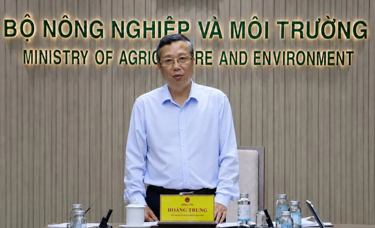 Thứ trưởng Hoàng Trung: "Các cục chuyên ngành cầu tập trung chuẩn hóa, cập nhật và đồng bộ dữ liệu".