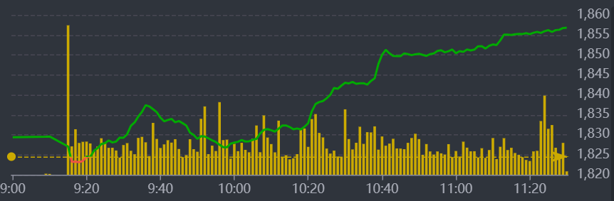 Diễn biến VN-Index sáng nay.