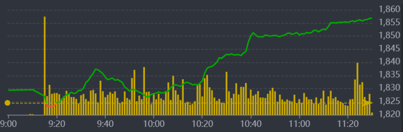 Diễn biến VN-Index sáng nay.
