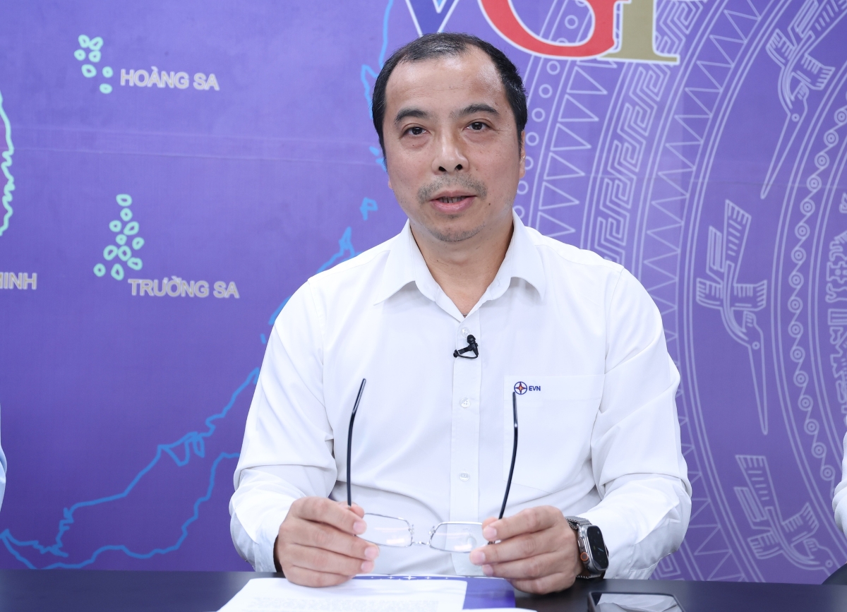 Ông Ngô Sơn Hải, Phó Tổng Giám đốc EVN (Ảnh VGP).