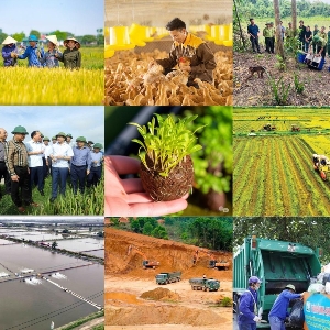 Các nội dung sửa đổi hướng mục tiêu cắt giảm thủ tục hành chính, điều kiện đầu tư kinh doanh; xây dựng nền hành chính phục vụ, tăng cường trách nhiệm giải trình, nâng cao tính minh bạch và hiệu quả quản lý nhà nước. Ảnh minh họa