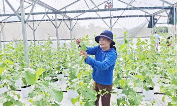 Nông nghiệp xanh mở lối tăng trưởng bền vững