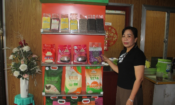 Hành trình xây dựng thành công chuỗi lúa gạo hữu cơ của một nữ doanh nhân ở tỉnh Vĩnh Long