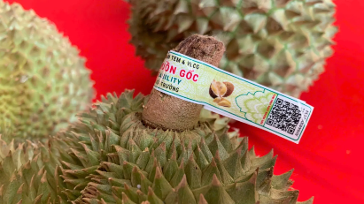 Vietnam to launch agro-forestry-fishery traceability system on July 1