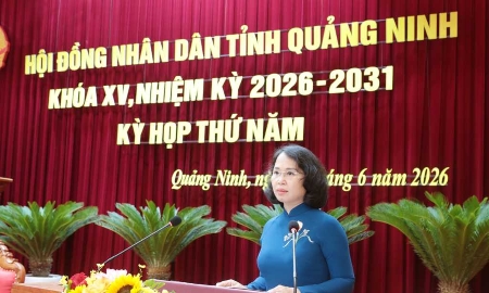 Quảng Ninh thông qua loạt quyết sách hoàn thiện tiêu chí đô thị loại I và phân bổ nguồn lực