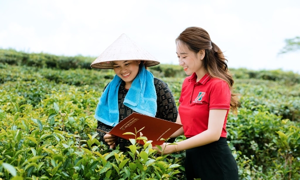 Lỗ hổng dữ liệu cản trở tín dụng xanh