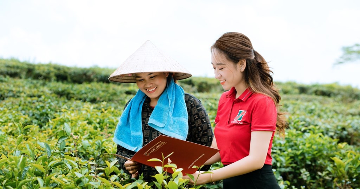 Lỗ hổng dữ liệu cản trở tín dụng xanh