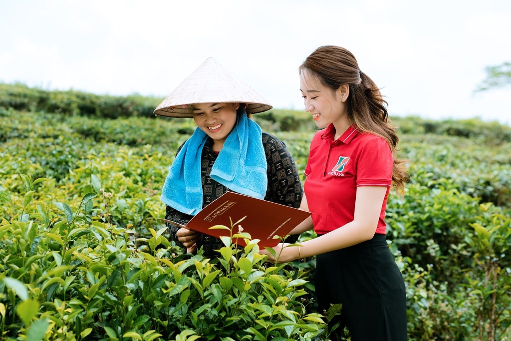 Lỗ hổng dữ liệu về môi trường, phát thải và tiêu chuẩn ESG được các cơ quan quản lý, ngân hàng và doanh nghiệp xác định là một trong những điểm nghẽn lớn nhất cản trở mở rộng tín dụng xanh.