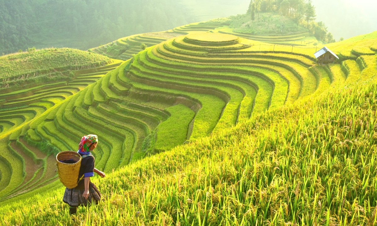 Các sản phẩm như food tour, trải nghiệm di sản, nghỉ dưỡng tiếp tục là điểm nhấn thu hút du khách quốc tế.