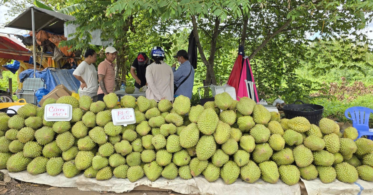 Liên thông dữ liệu vùng trồng để đáp ứng EUDR