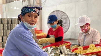Hanoi to host 2026 job fair for the elderly
