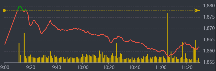 Diễn biến VN-Index sáng nay.