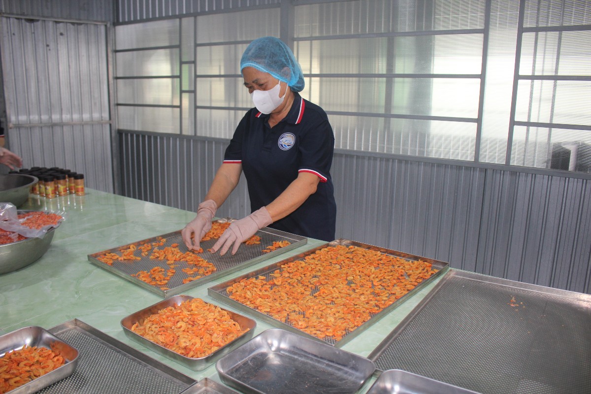 Chế biến tôm sấy khô ở Hợp tác xã Nông ngư Hoà Đê. Ảnh: Chu Khôi
