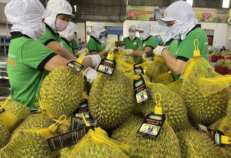 First Vietnam–China Agricultural Trade Connectivity Forum opens in HCM City
