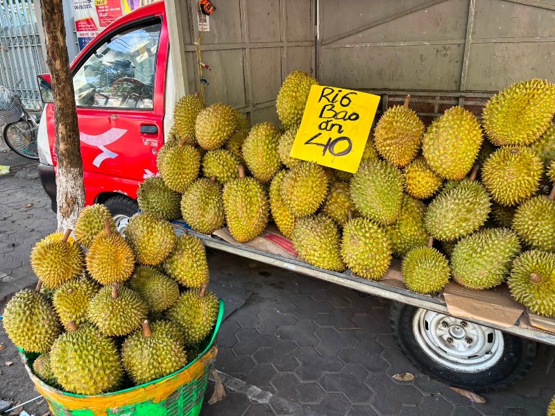 Nhiều loại trái cây vốn được xem là đặc sản cũng đang giảm giá mạnh.