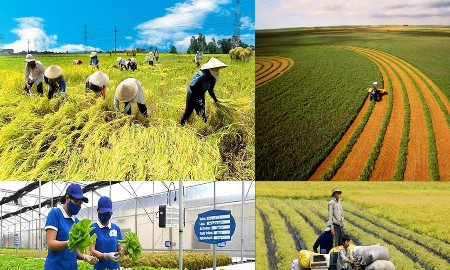 TP. Hồ Chí Minh phấn đấu nâng thu nhập của người dân nông thôn tăng gấp 3 lần